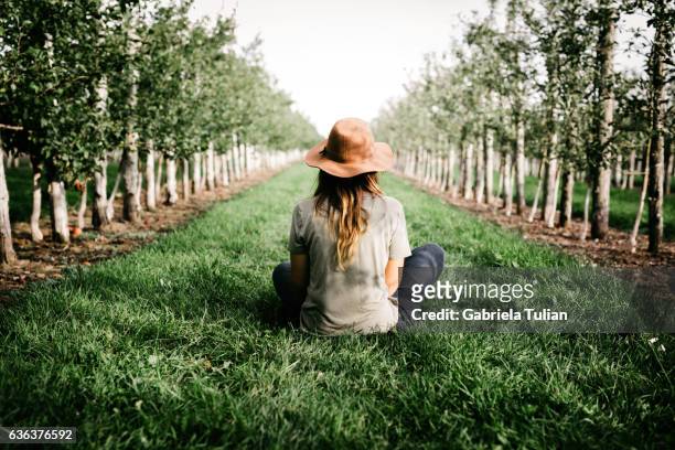 woman farmer sitting in her organic orchard - orchard 個照片及圖片檔