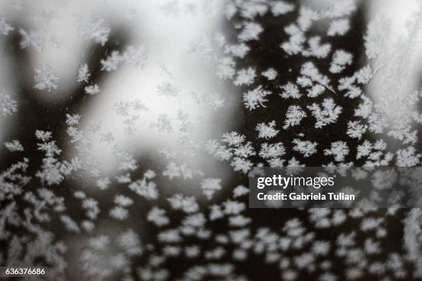 patterns made by frost on window - hielo stock-fotos und bilder