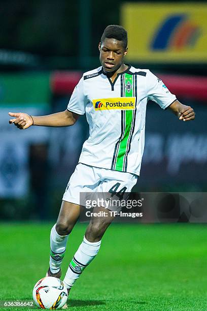 Roel Brouwers of Moenchengladbach in action during the Friendly Match between Borussia Moenchengladbach and Sivasspor at training camp on January 12,...