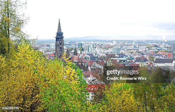 view of freiburg cathedral from schlossberg hill. - freiburg skyline stock pictures, royalty-free photos & images