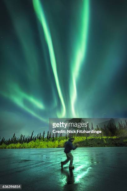dancing under the aurora borealis, kluane national park, yukon territory, canada - mèche foto e immagini stock