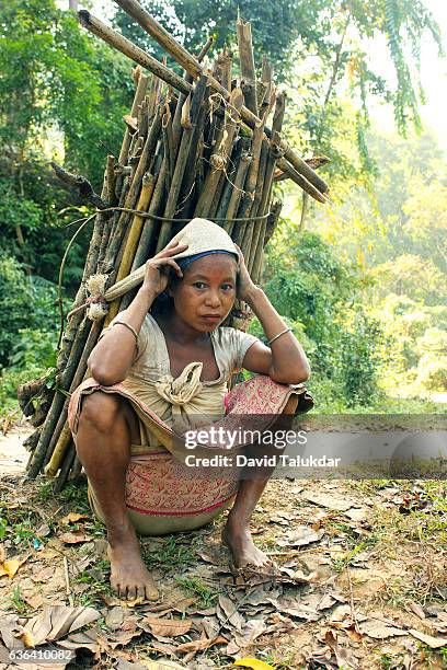 26 Mising Women Stock Photos, High-Res Pictures, and Images - Getty Images