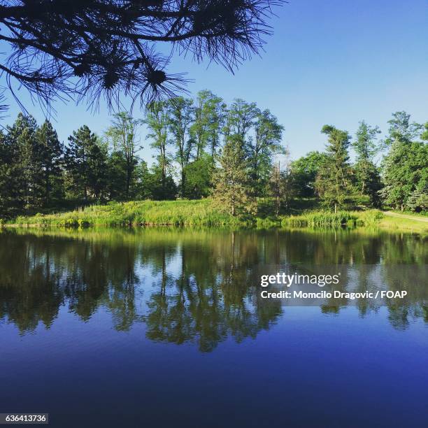 idyllic lake - momcilo stock pictures, royalty-free photos & images