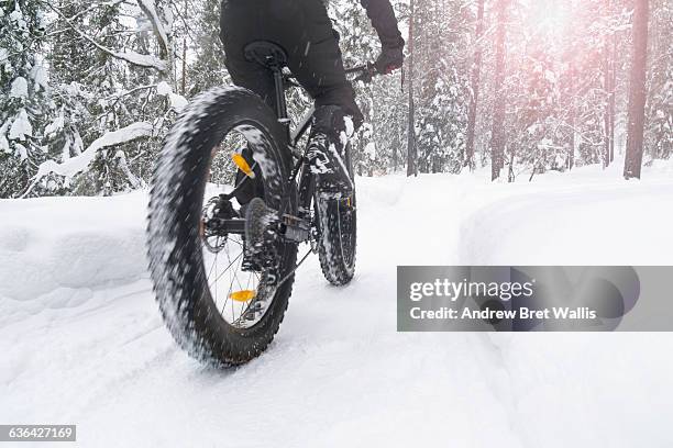 fat biking in the winter forests and fells. - bicycle tire stock pictures, royalty-free photos & images