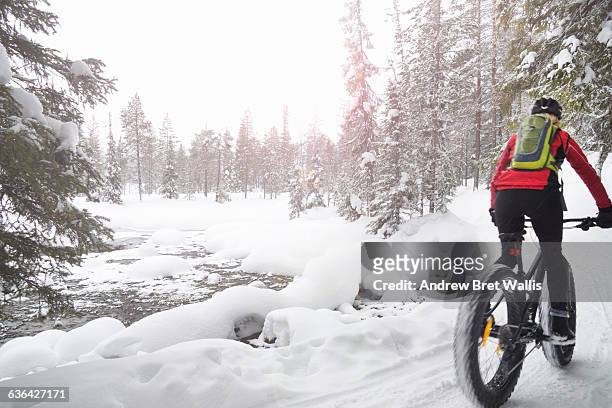fat biking in the winter forests and fells. - wintersport stock pictures, royalty-free photos & images