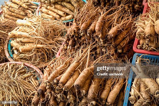 ginseng in korean market - ginseng stockfoto's en -beelden