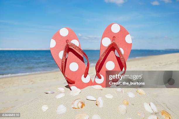 sandcastle with red flip-flops and shells on the beach - thong stockfoto's en -beelden