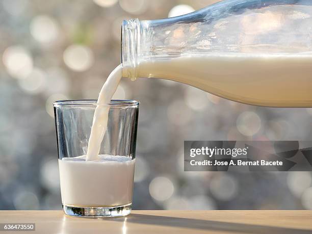 bottle of milk of crystal filling a glass of milk, illuminated by the natural light of the sun - crystal glasses bildbanksfoton och bilder