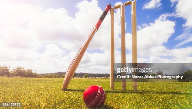 cricket bat, ball and wickets in cricket ground. - críquet fotografías e imágenes de stock