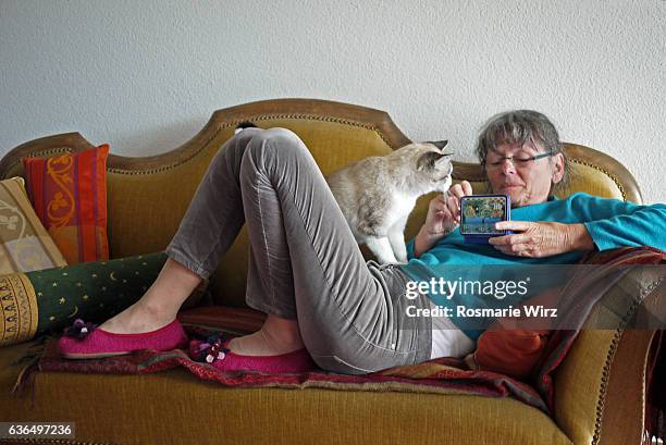 senior woman having fun with her cat - old lady cat stock pictures, royalty-free photos & images