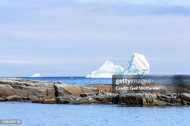 iceberg past the rocks (west st. modeste) - língua de areia - fotografias e filmes do acervo