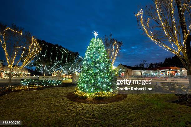 summerville christmas tree - summerville sc stock pictures, royalty-free photos & images