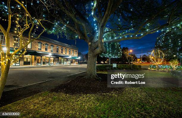 christmas lights - summerville sc stock pictures, royalty-free photos & images