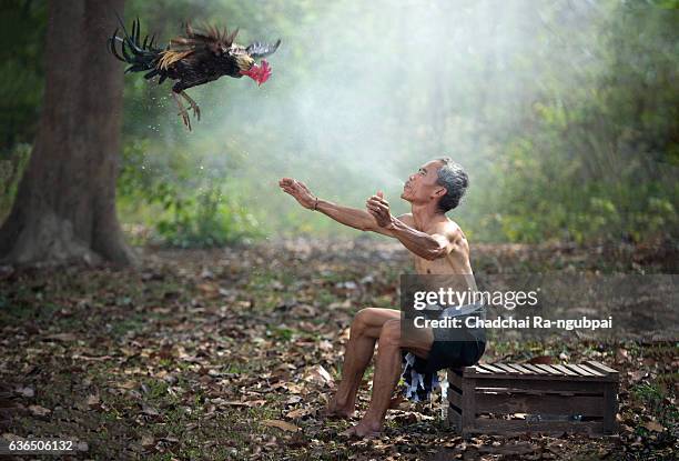 Cock Out Man Photos And Premium High Res Pictures Getty Images cock-out-man-photos-and-premium-high-res-pictures-getty-images