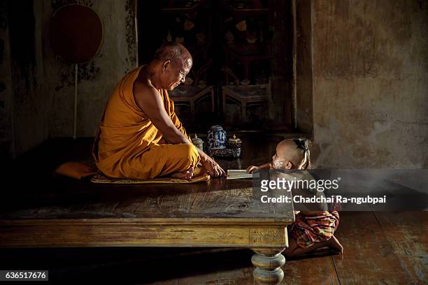 monk - monk imagens e fotografias de stock