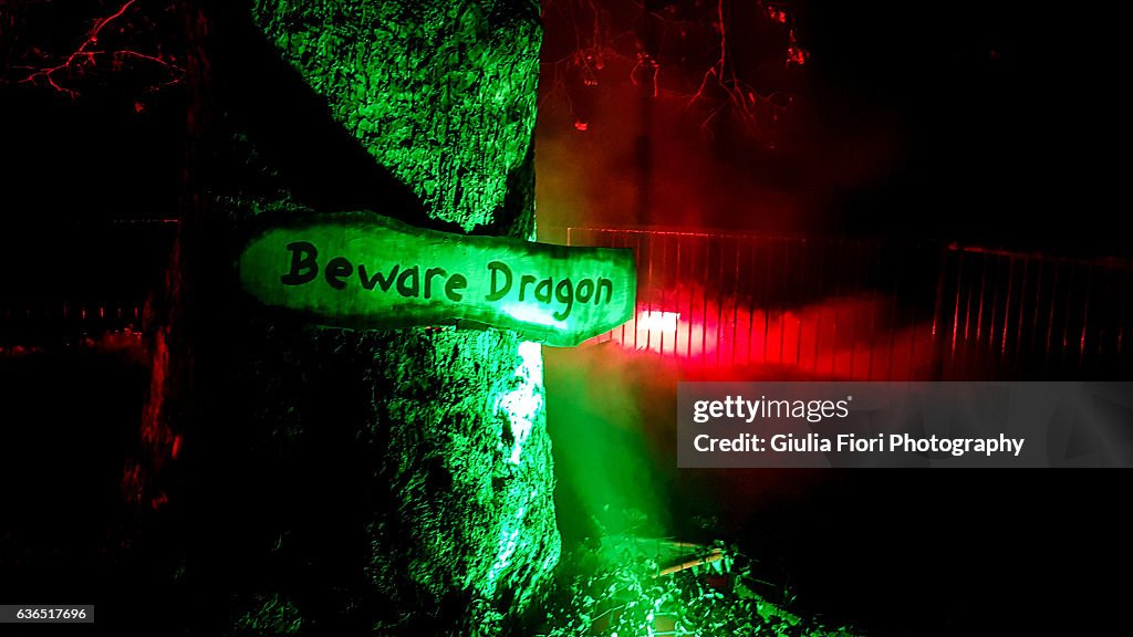 "Beware Dragon" sign