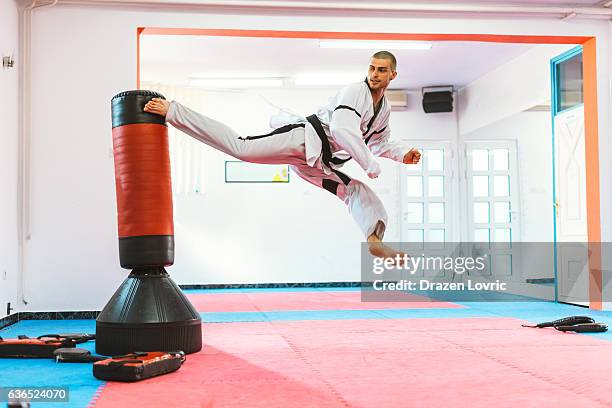 taekwondo jumping round kick - tatami mat stockfoto's en -beelden