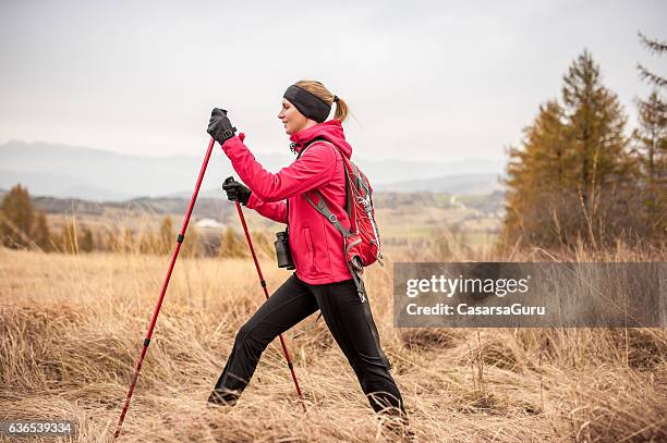 nordic walking im herbst - walker stock-fotos und bilder