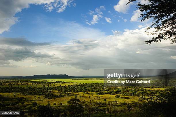 serengeti national park, tanzania - africa great rift valley stock pictures, royalty-free photos & images