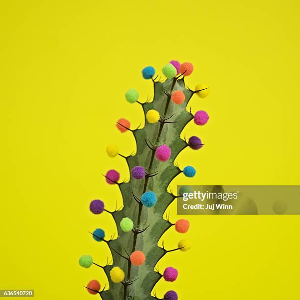 Cactus decorated with puffballs