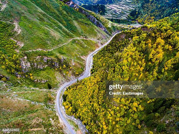 Attacks On High Wood Photos and Premium High Res Pictures Getty Images