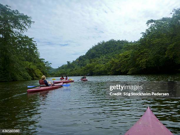 exploring belize - belize stock-fotos und bilder