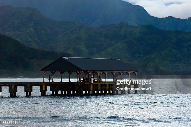 hanalie pier - hanalei national wildlife refuge stock pictures, royalty-free photos & images