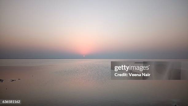 sunset at the great  rann of kutch-gujarat - white desert stock pictures, royalty-free photos & images