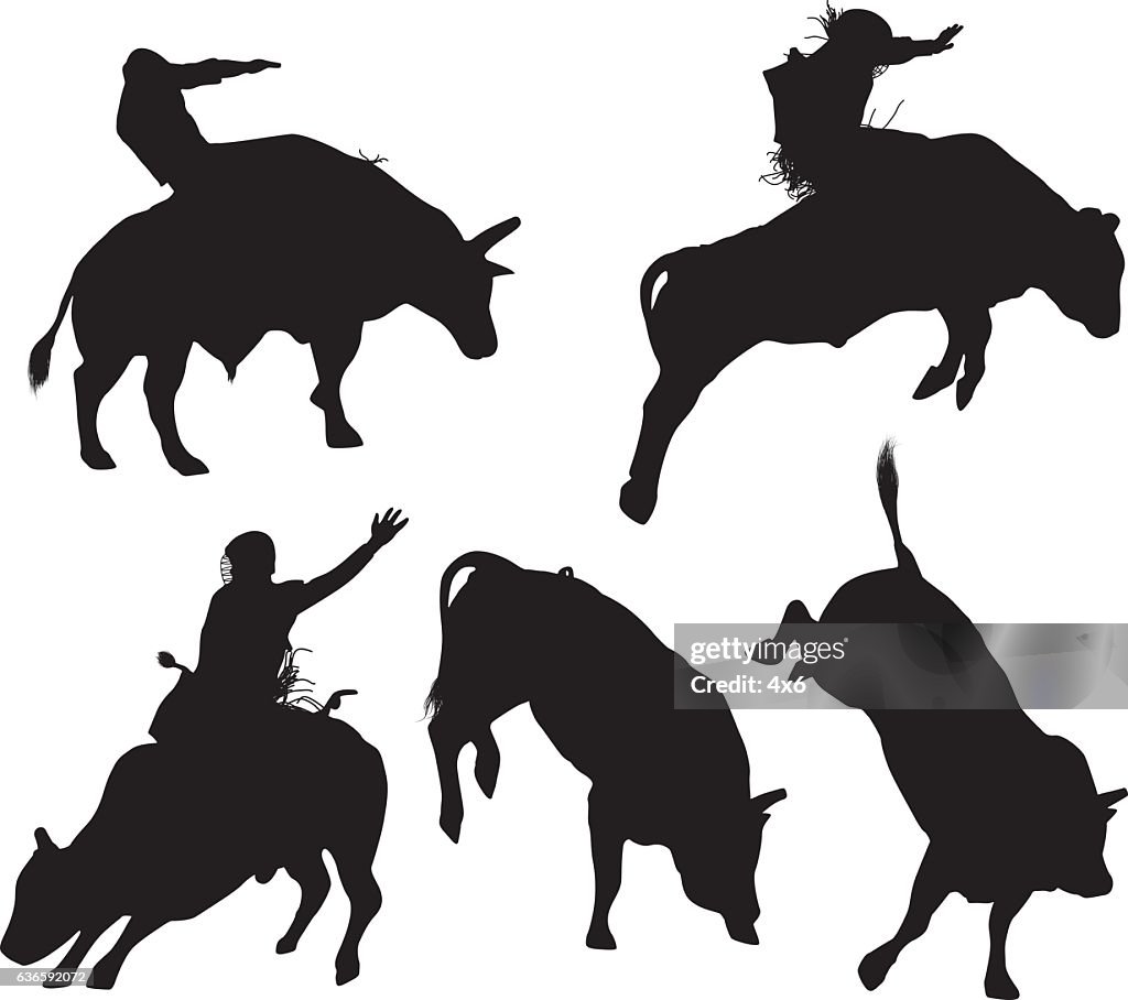 Bull Riding Rope Vector Image Bull Riding High-Res Vector Graphic - Getty Images