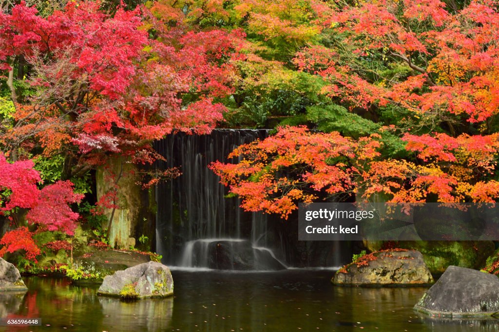 Autumn colors /Japan