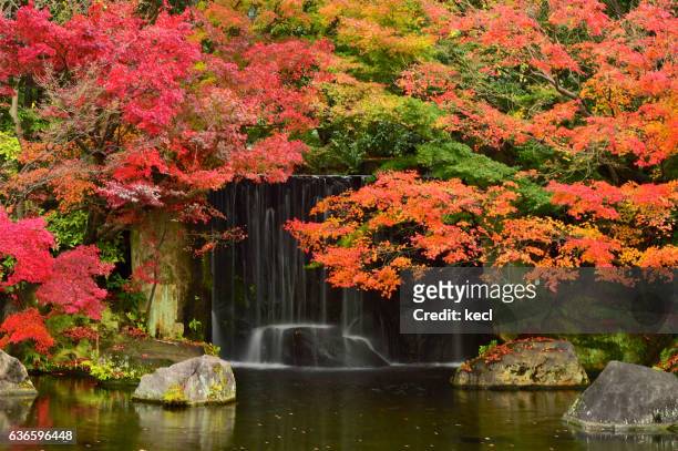 autumn colors ／japan - kobe japan stock pictures, royalty-free photos & images