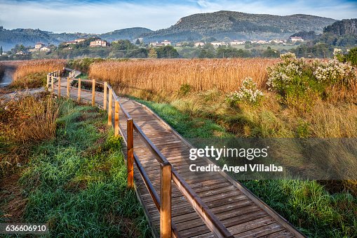Urdaibai Natural Park. Wooden walkway Urdaibai Natural Park. Wooden walkway