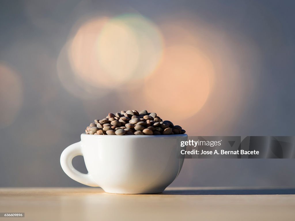 Cup fills with a portion of vegetables, lentils , illuminated by the natural light of the Sun