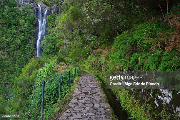 levada pathway-risco waterfall -madeira island- portugal - funchal imagens e fotografias de stock