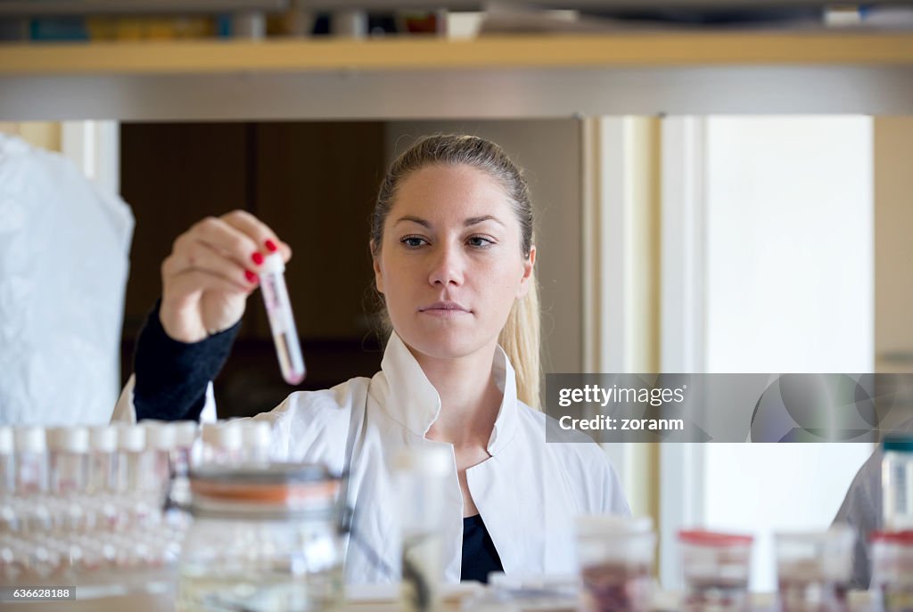 Biologist with a specimen holder