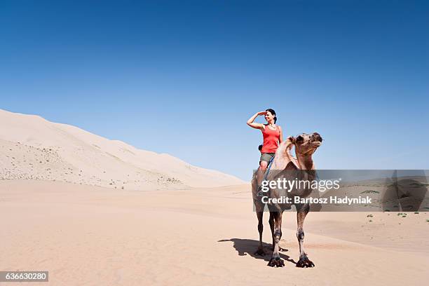 young woman riding on the camel - riding camel stock pictures, royalty-free photos & images