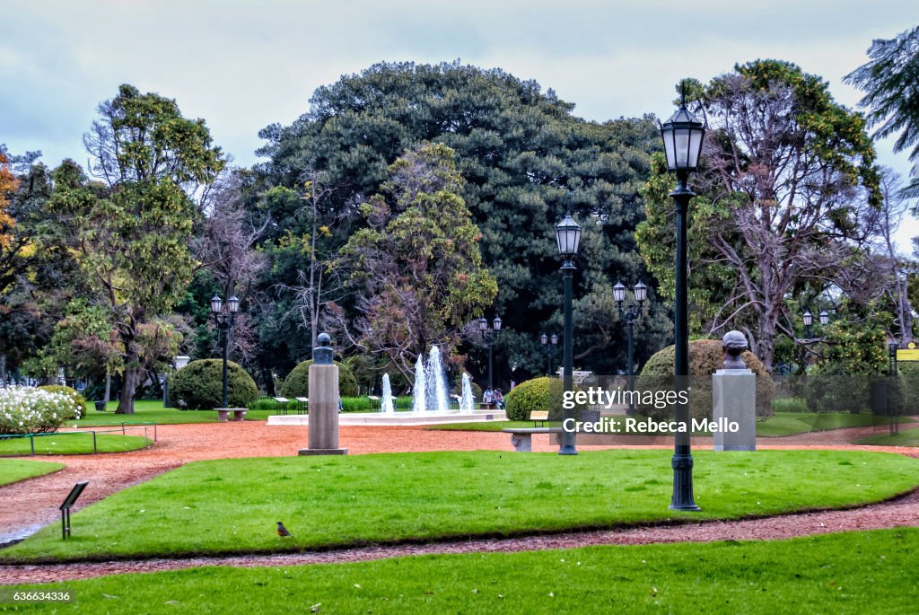 Footpath among grassy gardens