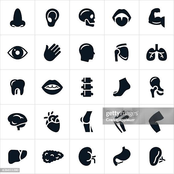 stockillustraties, clipart, cartoons en iconen met human body parts icons - ledematen lichaamsdeel