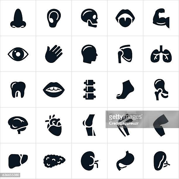 human body parts icons - hip body part stock illustrations