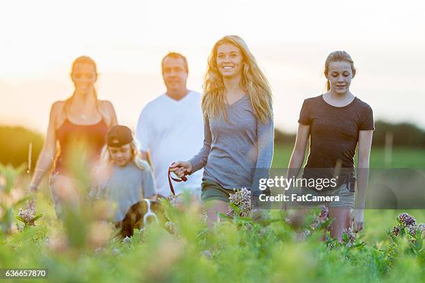 family walking outside at dusk - fat hairy men stock pictures, royalty-free photos & images