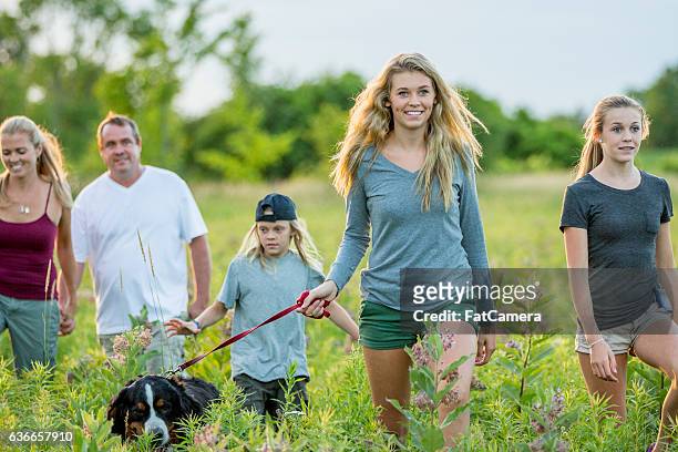 family taking their dog on a walk - fat hairy guys stockfoto's en -beelden
