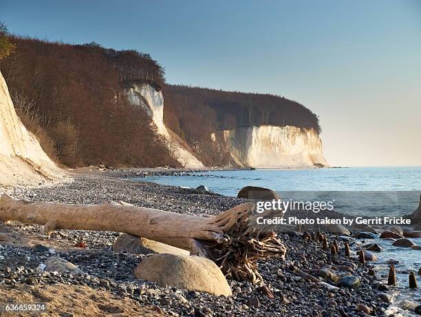 rügen (rugia, ruegen) - kreidefelsen stock-fotos und bilder