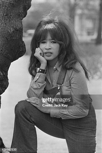 American singer Ronnie Spector, formerly lead singer of the Ronettes, UK, 28th April 1971.