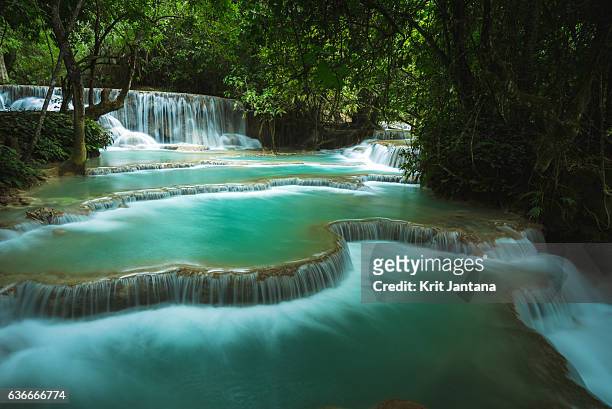 kuang si waterfall, laos - internazionale socialista foto e immagini stock