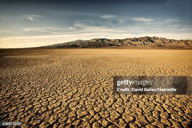 dry cracked lake bed - öde landschaft stock-fotos und bilder