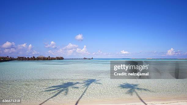 beautiful tropical mabul island with white sandy beach and sea - cocos island stock-fotos und bilder