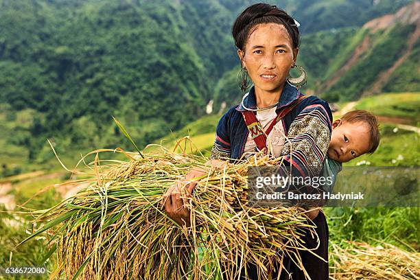 vietnamese minority people - woman from black hmong hill tribe - hmong stockfoto's en -beelden