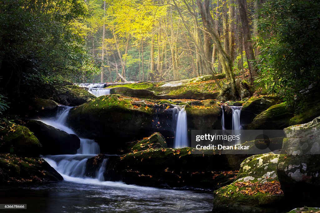Leaf-strewn Stream in the Smokies