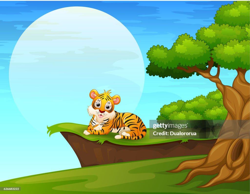 Tigre De Dibujos Animados Acostado Cerca Del Acantilado Ilustración de stock - Getty Images Tigre De Dibujos Animados Acostado Cerca Del Acantilado Ilustración de stock - Getty Images