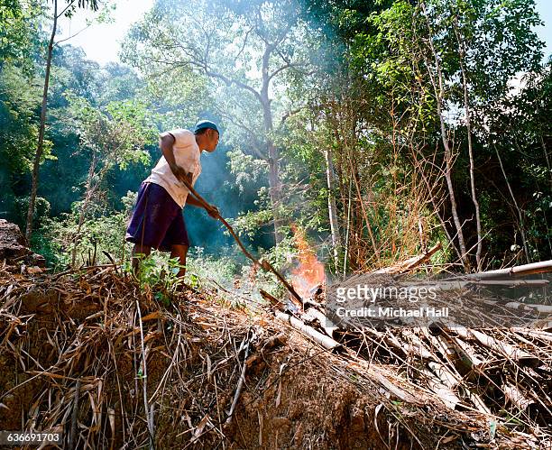 small landholder landclearing - flores indonesia stock pictures, royalty-free photos & images